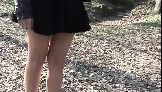 Big cock sucking in the park