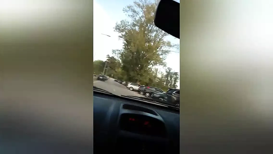 在车里展示我的爱巢