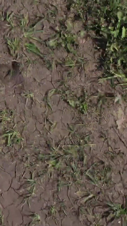 在树林里操了我好朋友的女友