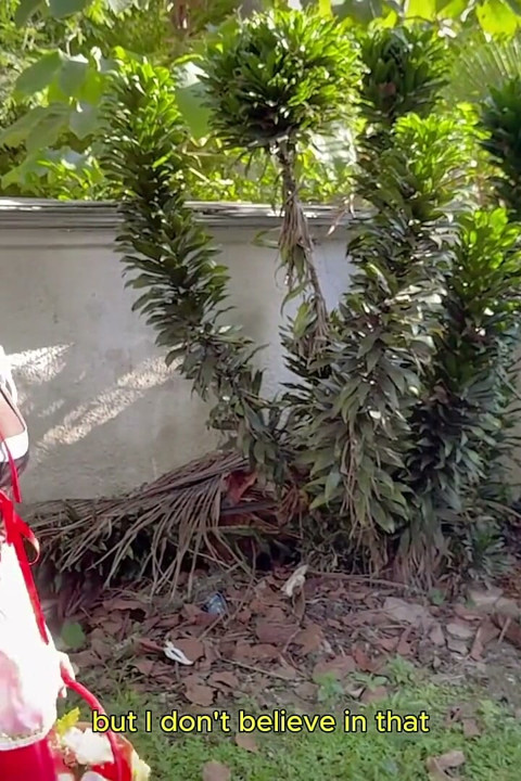 Little Red Riding Hood Was Lost in the Woods and Was Made to Suck Cock by the Big Bad Wolf