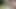 Sunville'in orta yaşlı seksi kadın - bölüm 45 - foxie2k tarafından bisiklet kiralamada garipler