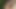 Mein schmutziges Hobby - heißer Blowjob im Garten