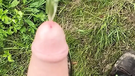 Piss