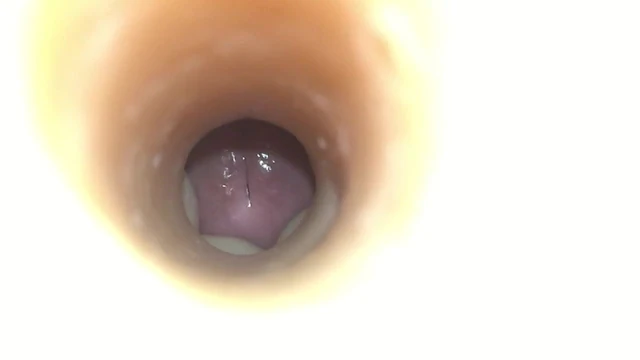 Inside View of Asa Akira Swallow Texture Fleshlight