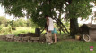 Pregled videozapisa