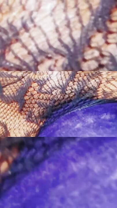 41 मिनट का संकलन