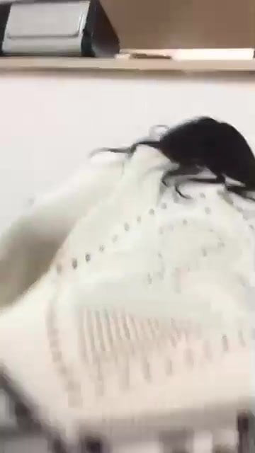 young ass pussy fuck shake