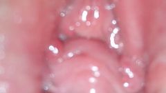 Hairy pink pussy white boobs show closeup pornstar honey