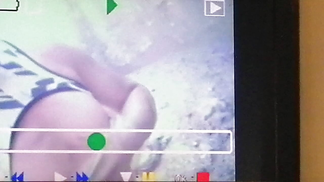 Gåture i bushen