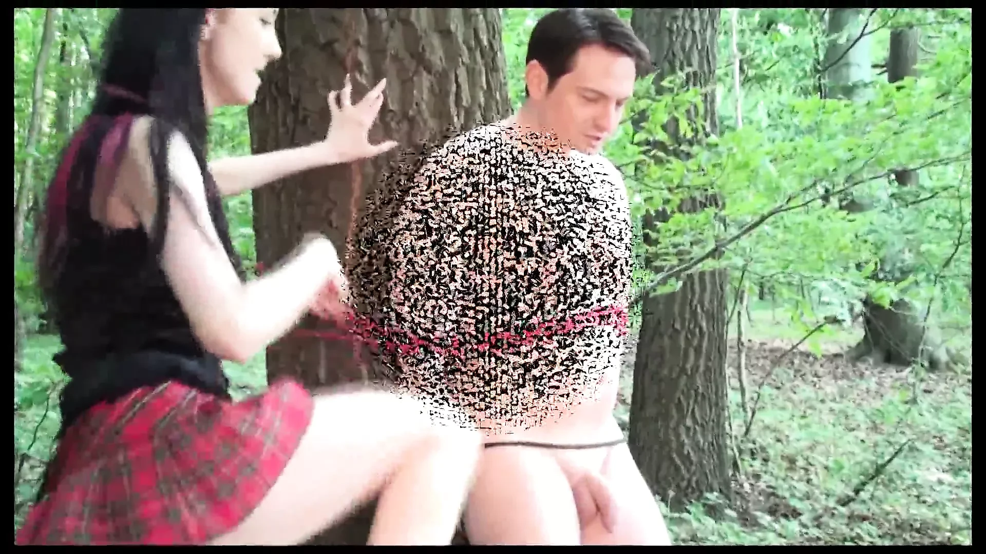 Tendang dalam hutan