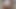 写真撮影が大成功 - 映画