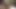 Busty filipina coco sikikleri kendini ile bir büyük yapay penis