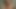 سمر كامينغز وكيم وايلد