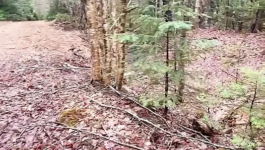 Muschi Pisst Wasser Auf Den Felsen