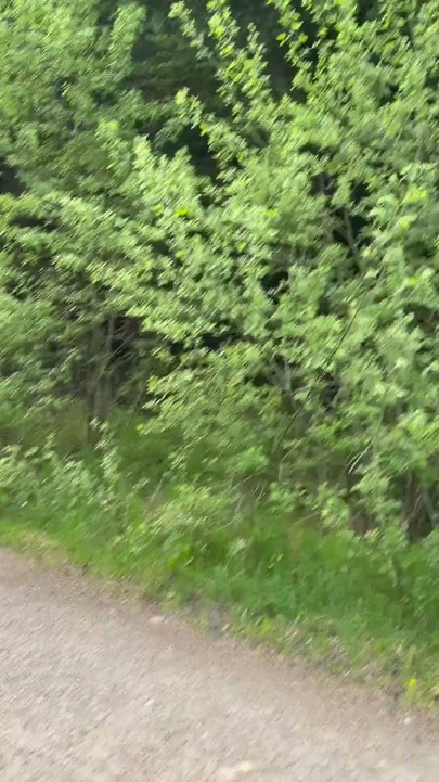 Hot Stable Worker Took Me Into the Forest… Risky Smoking Deepthroat POV