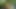 Public masturbation at the festival with Zoe Fox VIP (Sexvlog Croatia Trailer)