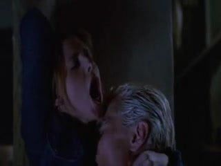 Sarah Michelle Gellar - Buffy the Vampire Slayer