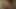Name of the Pornstar?