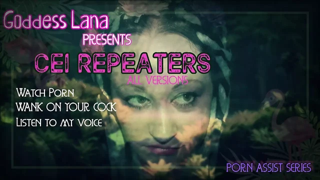 AUDIO ONLY - CEI repeaters all versions