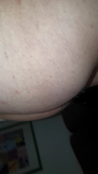Ginger bush