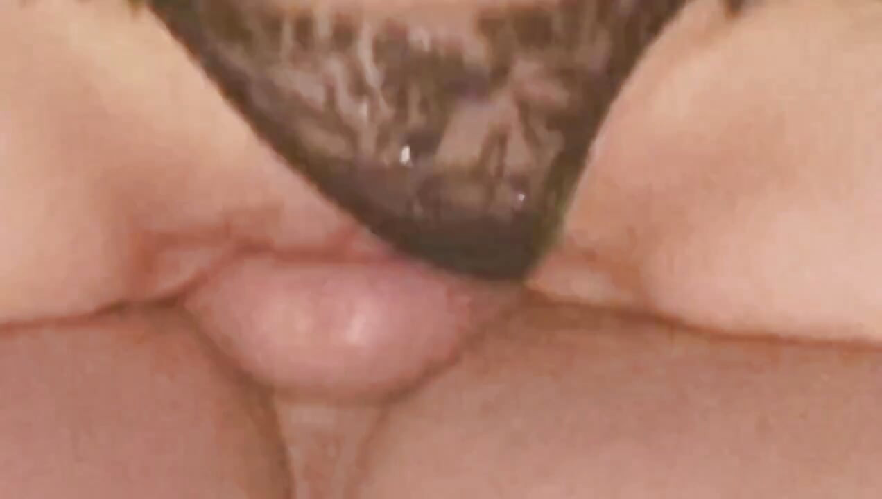 Ashlynn Shea berkongkek bulan madu