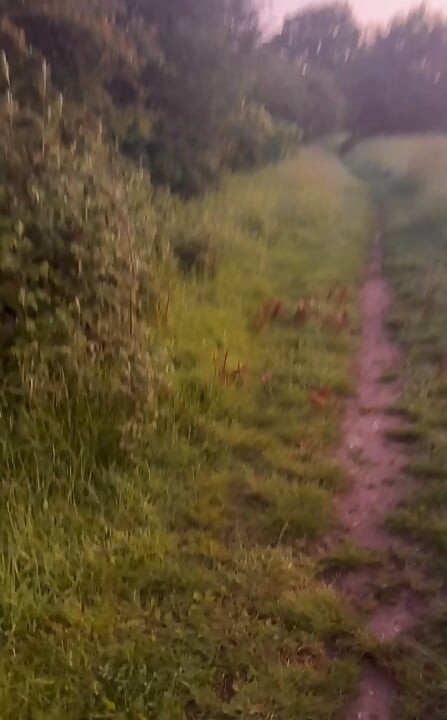 Horny on a barefoot nude walk so I edged my fat cock