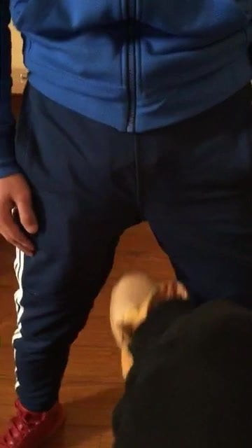 gay balo avı