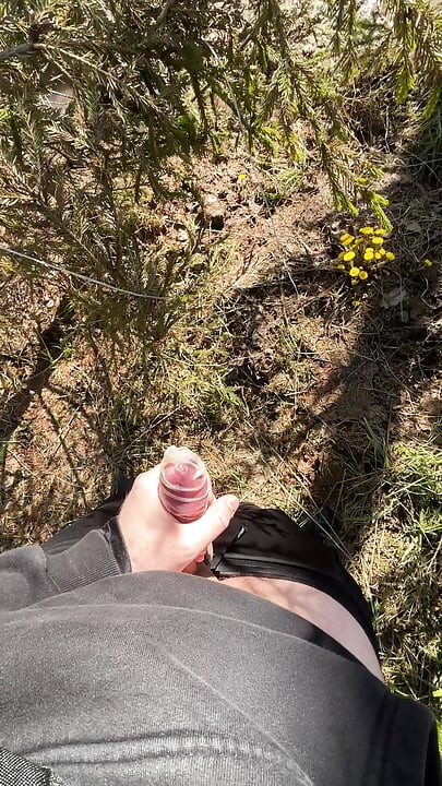 Jerk off in the forest