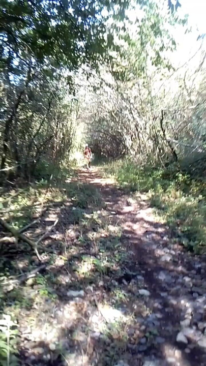 Andando na floresta