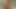 EXHIBITIONIST SEXY GIRLS