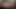 Masturbating My Huge Cock and Cum over my ABS Mark Andy