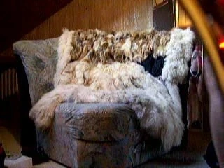 slipper slut