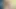Mattie borders ist glücklich, für die kamera zu fingern.