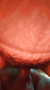 Pratinjau video