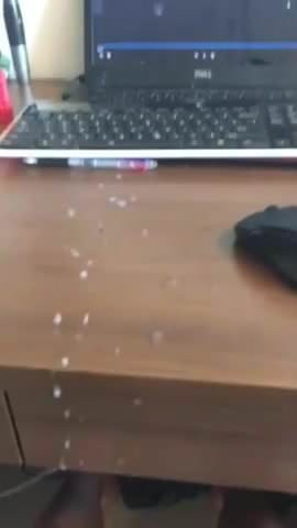 long jerks on the laptop (15'')