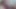 Flowersex786