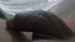 Pratinjau video