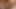大きくて黒くてセクシーな女の子が膣に愛し、お尻に愛