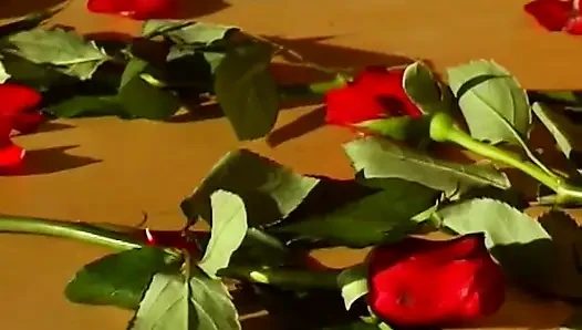 Хуй заполняет бритую пизду этой сексуальной блондинки