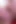 Faphouse Exclusive 4