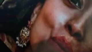 南印度女演员 shreya 的愉快嘴巴翘起