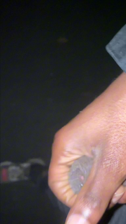 Una corrida matutina se convierte en una sesión de bate rápido: desde mi colección de juego público