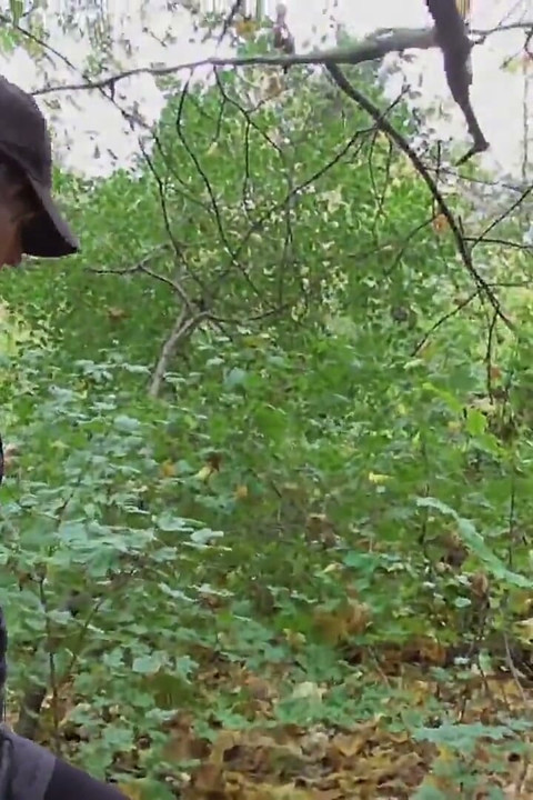 The Slave Bastards Destroyed in The Forest