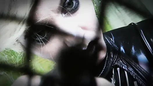 Örümcek ağımın içinde mahsur kaldım