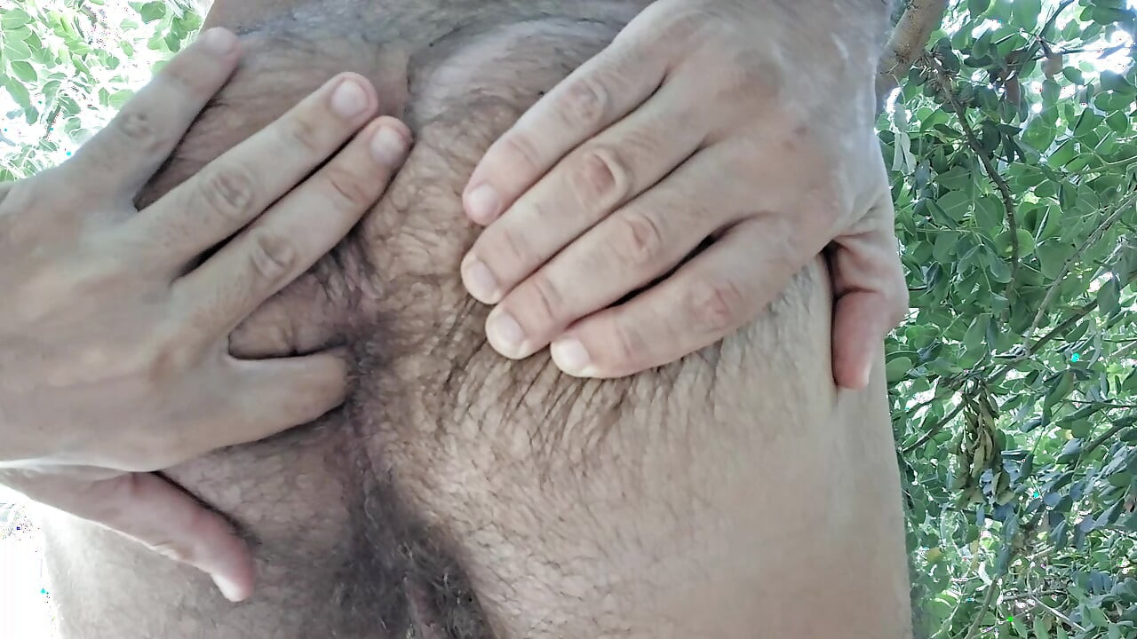 털 많은 엉덩이 부코