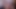 Hot BBW Chub Latina Trans Uncut Cock