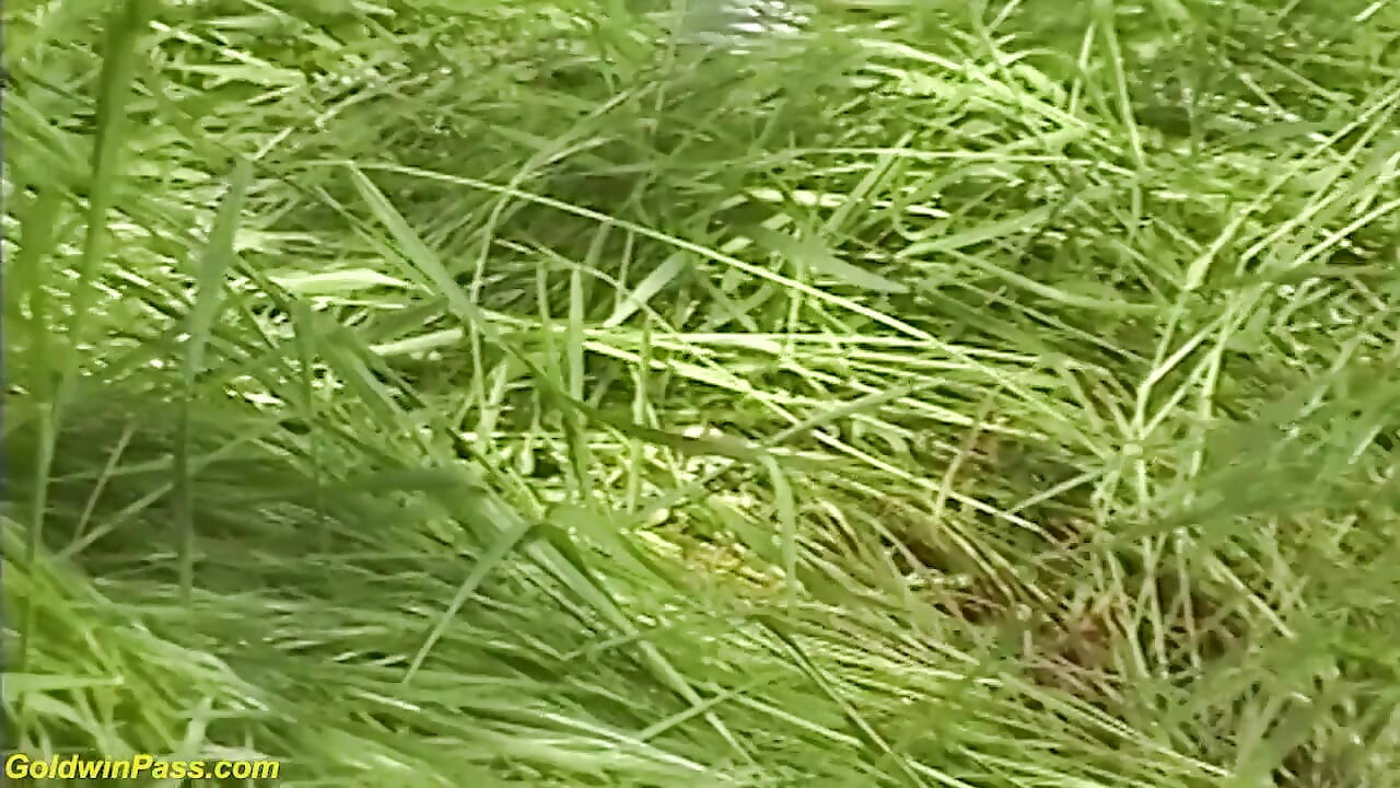 Hairy tight ass outdoor destroyed