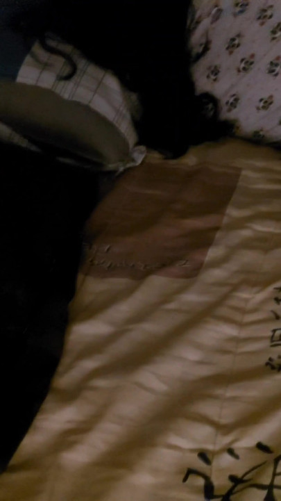 Momento chiave da "Atto inappropriato dal figliastro della matrigna dopo aver visto un film horror"