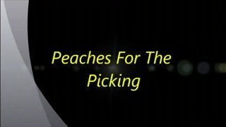 Peaches Ripe For The Picking Preview