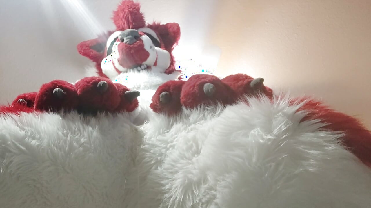 Fursuit omorashi - mokrim se u svom punom murrsuitu